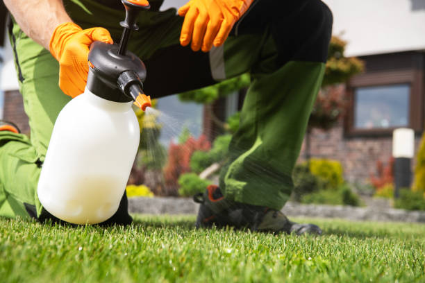 Pest Control Cost in Beverly Hills, CA